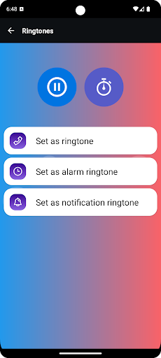 Red-whiskered bulbul